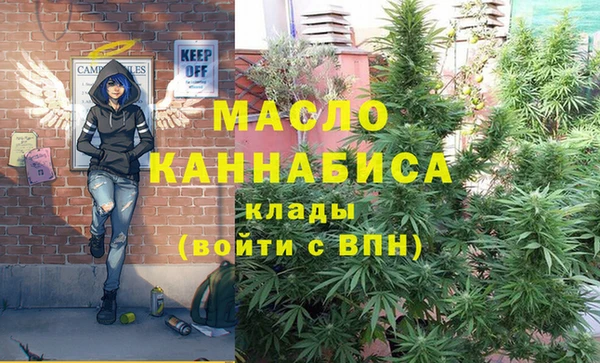 индика Богородицк