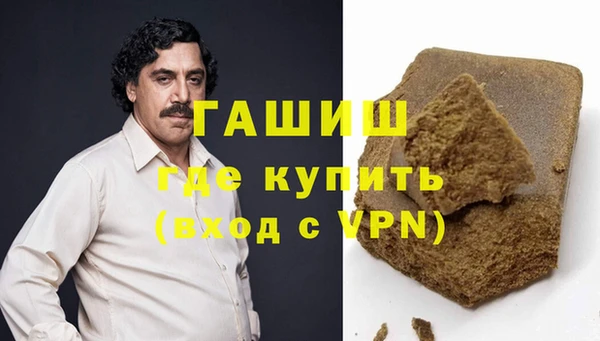 индика Богородицк