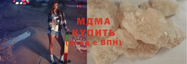 индика Богородицк