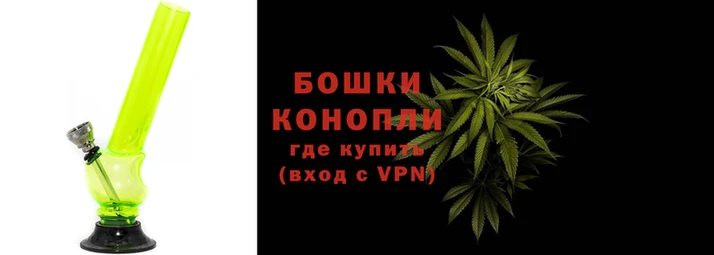 индика Богородицк