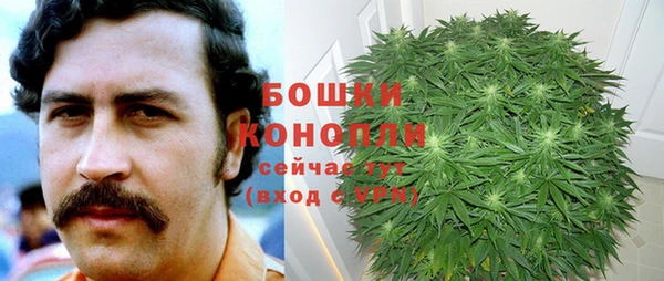 эйфоретик Богданович