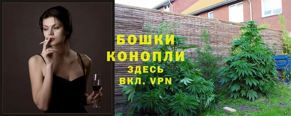 индика Богородицк