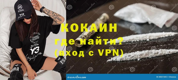 индика Богородицк