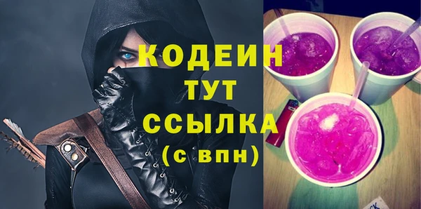 индика Богородицк