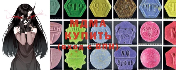 индика Богородицк