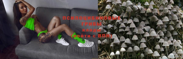 индика Богородицк